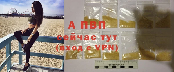 спиды Верея