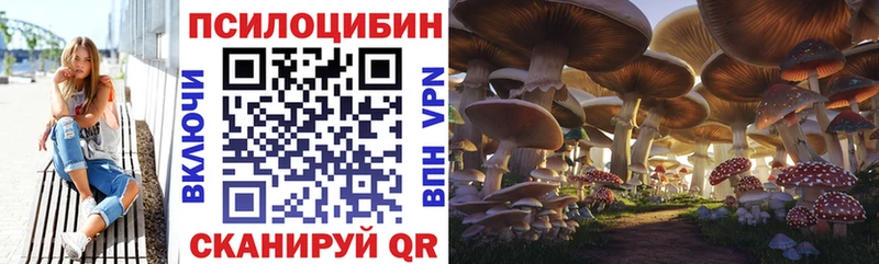 Купить закладки  Канск  Галлюциногенные грибы мицелий 